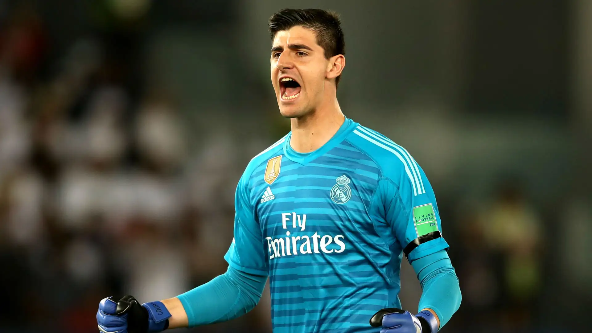 Courtois Courtois