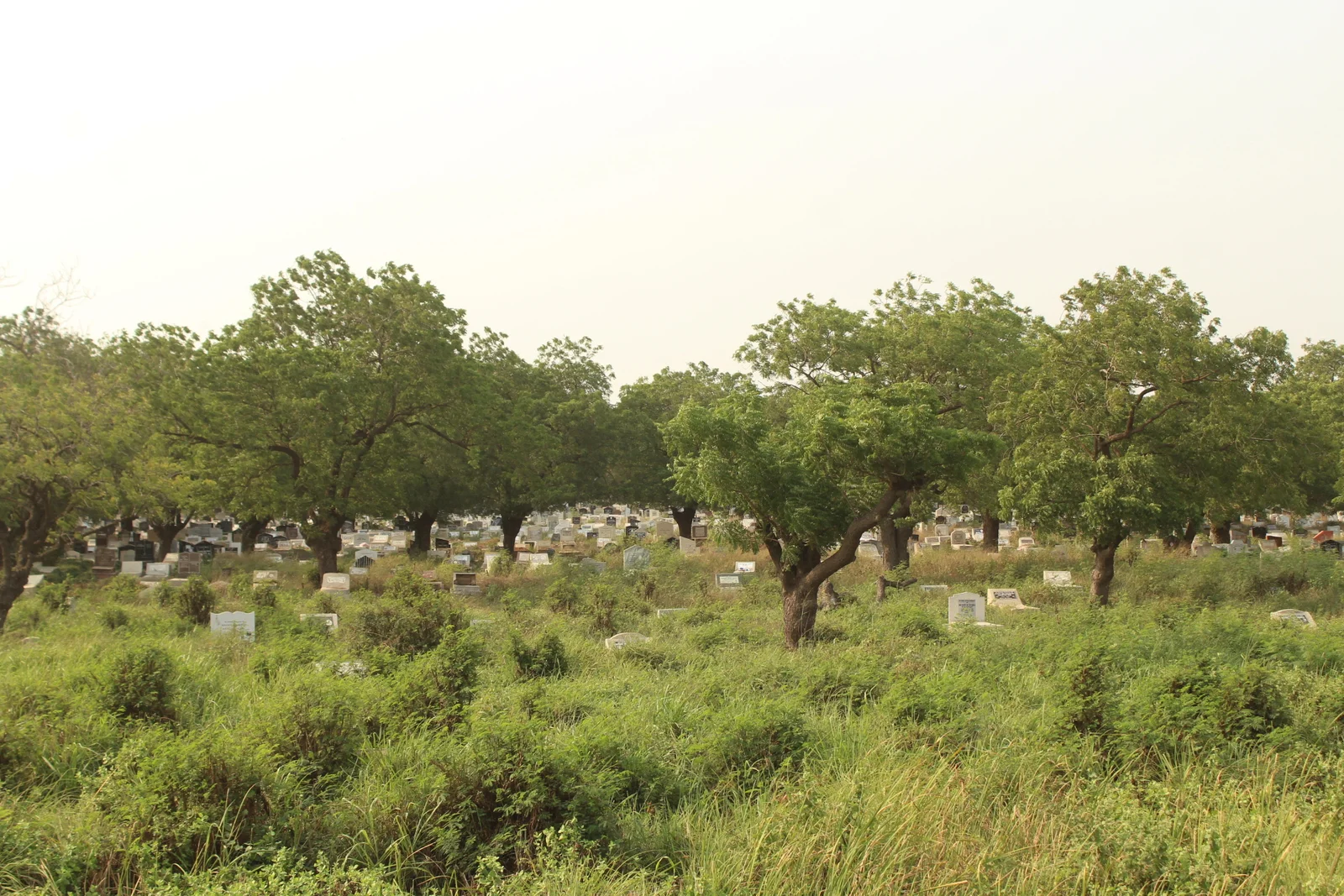 Awudome Cemetary in Accra, the nation’s largest in terms of space. Awudome Cemetary in Accra, the nation’s largest in terms of space.